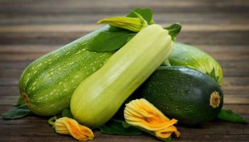 Det er overraskende, men mælk kan redde dine courgetter fra meldug i juni
