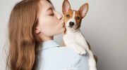 En lille hund uden gøen: hvordan basenji kommunikerer og hvorfor den overrasker selv erfarne ejere