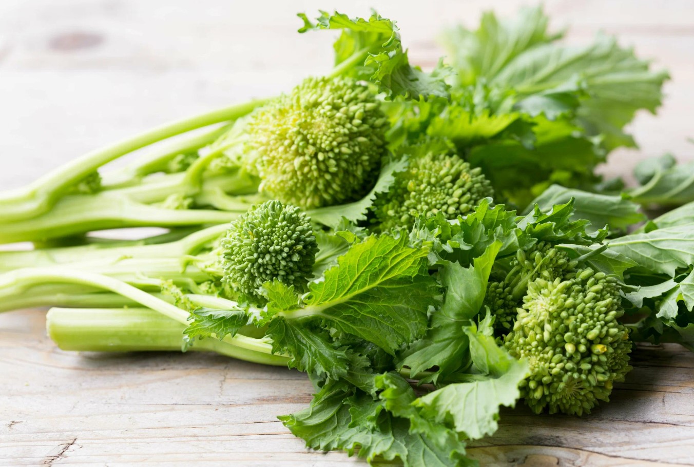 Broccoli raab