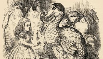 Dodo vender tilbage: forskere genskaber fuglen, som mennesket udryddede fra Jordens overflade