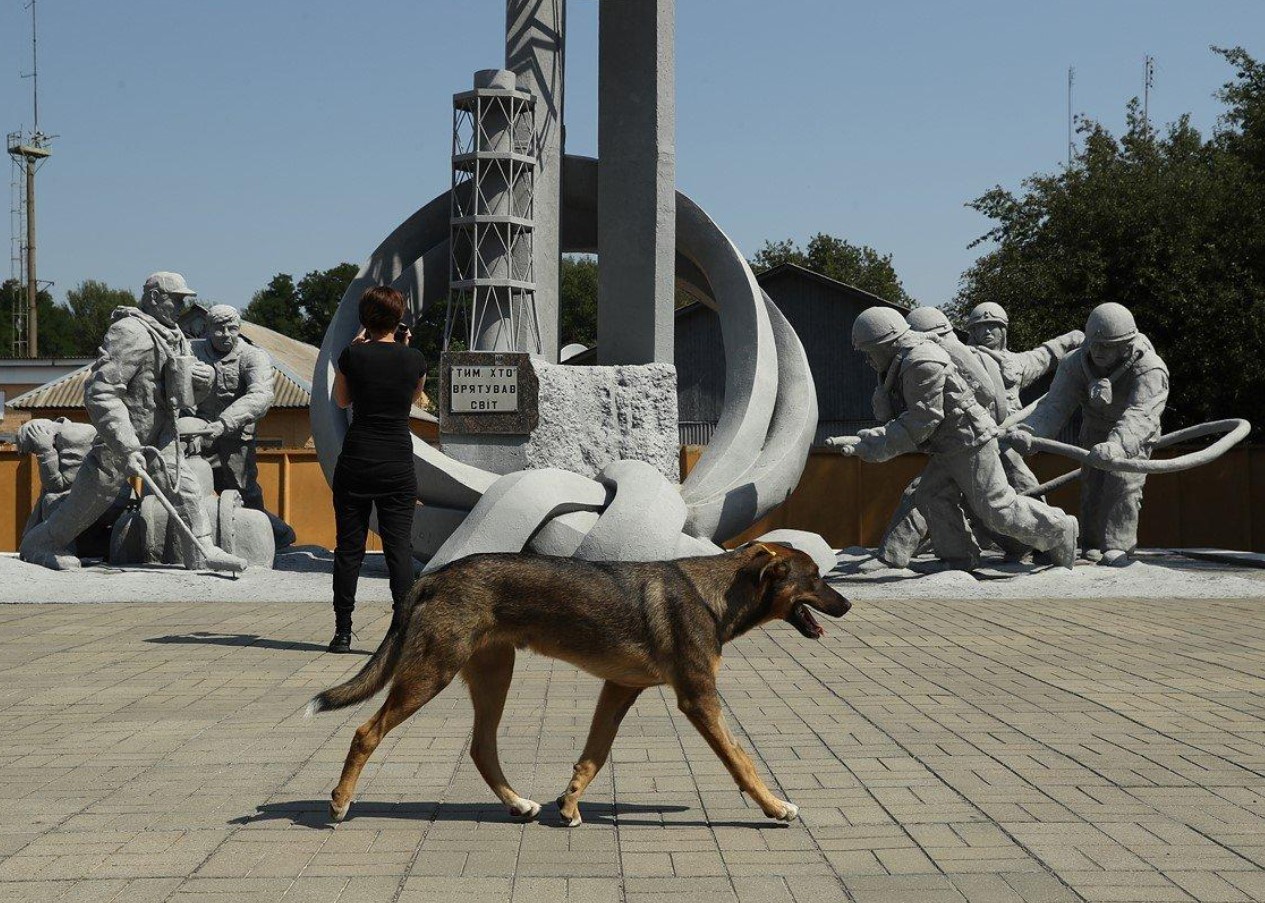 Hunde i Tjernobyl gennemgår en hurtig evolution, viser undersøgelse