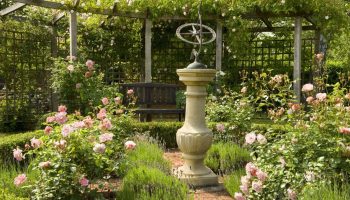Engelsk sommerhave: sådan skaber du en romantisk oase fuld af blomster
