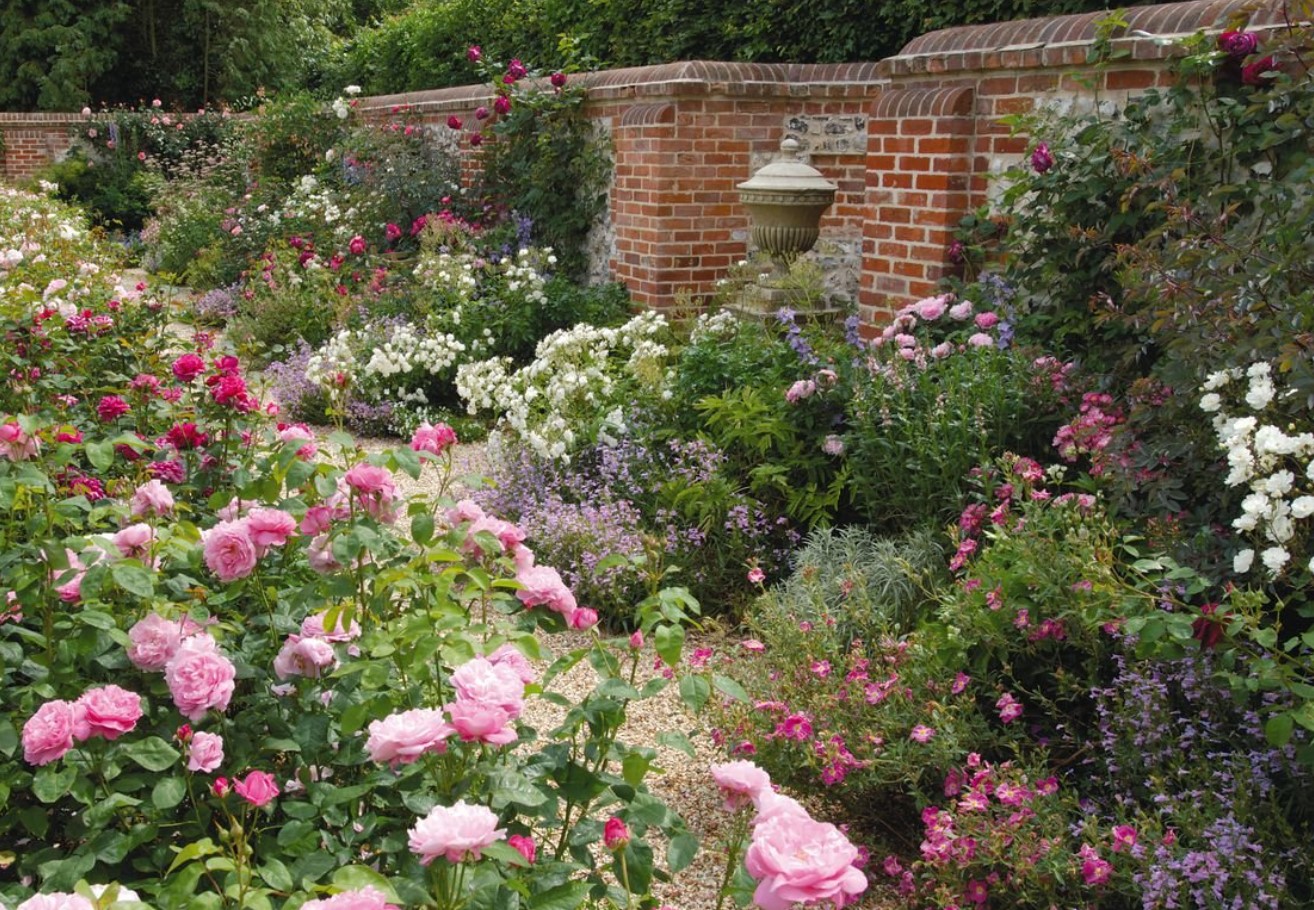 Engelsk sommerhave: sådan skaber du en romantisk oase fuld af blomster