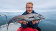 Fisk med 'grisehaler' fundet nær Antarktis