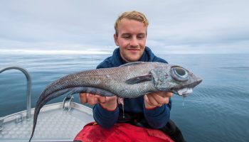 Fisk med 'grisehaler' fundet nær Antarktis