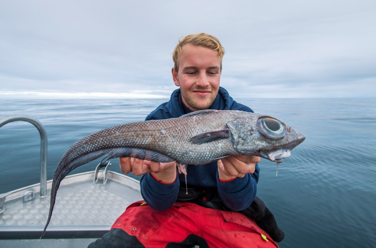 Fisk med 'grisehaler' fundet nær Antarktis