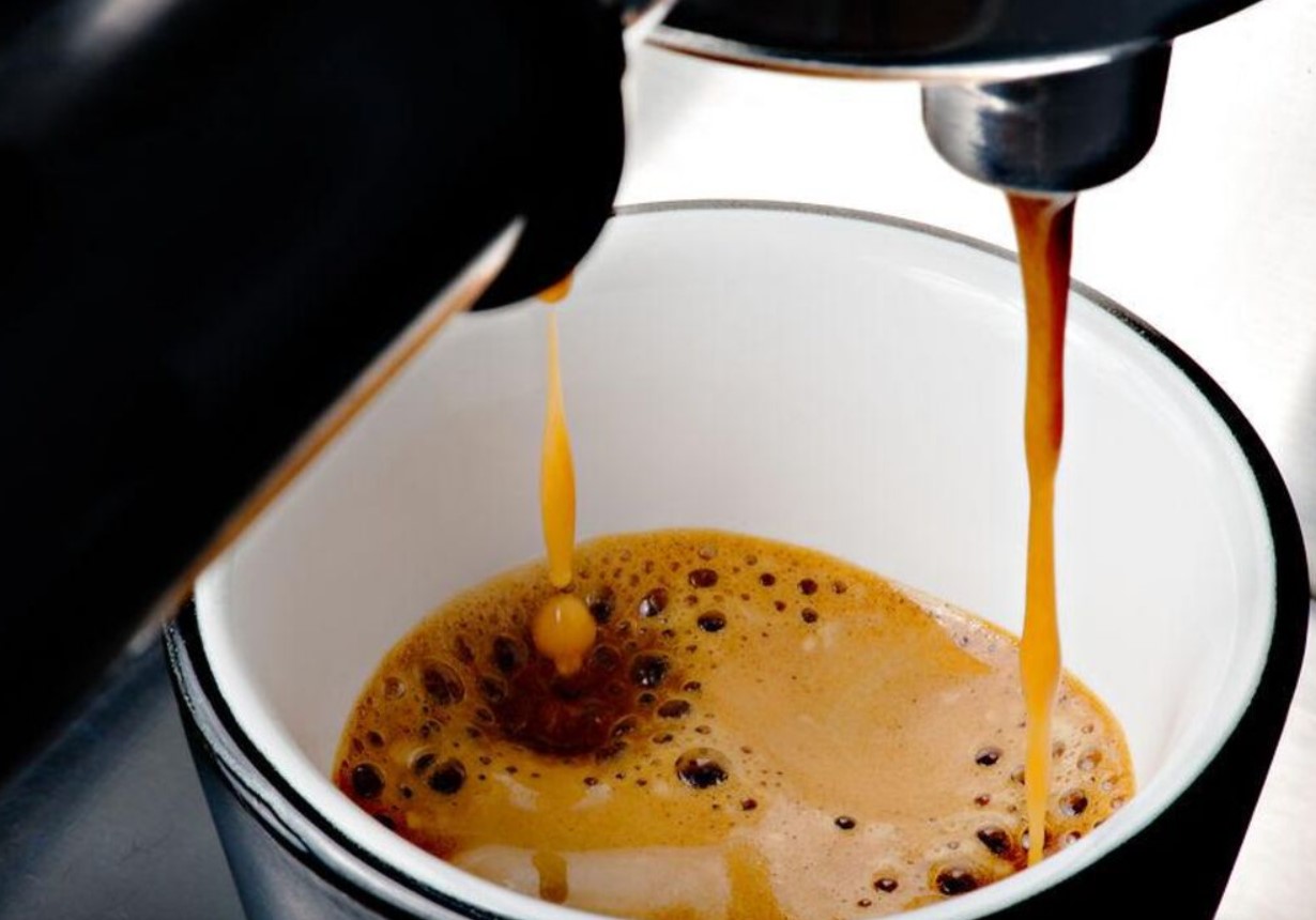 Holder kaffegrums virkelig snegle væk? Her er, hvad en ekspert siger