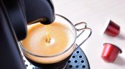 Holder kaffegrums virkelig snegle væk? Her er, hvad en ekspert siger