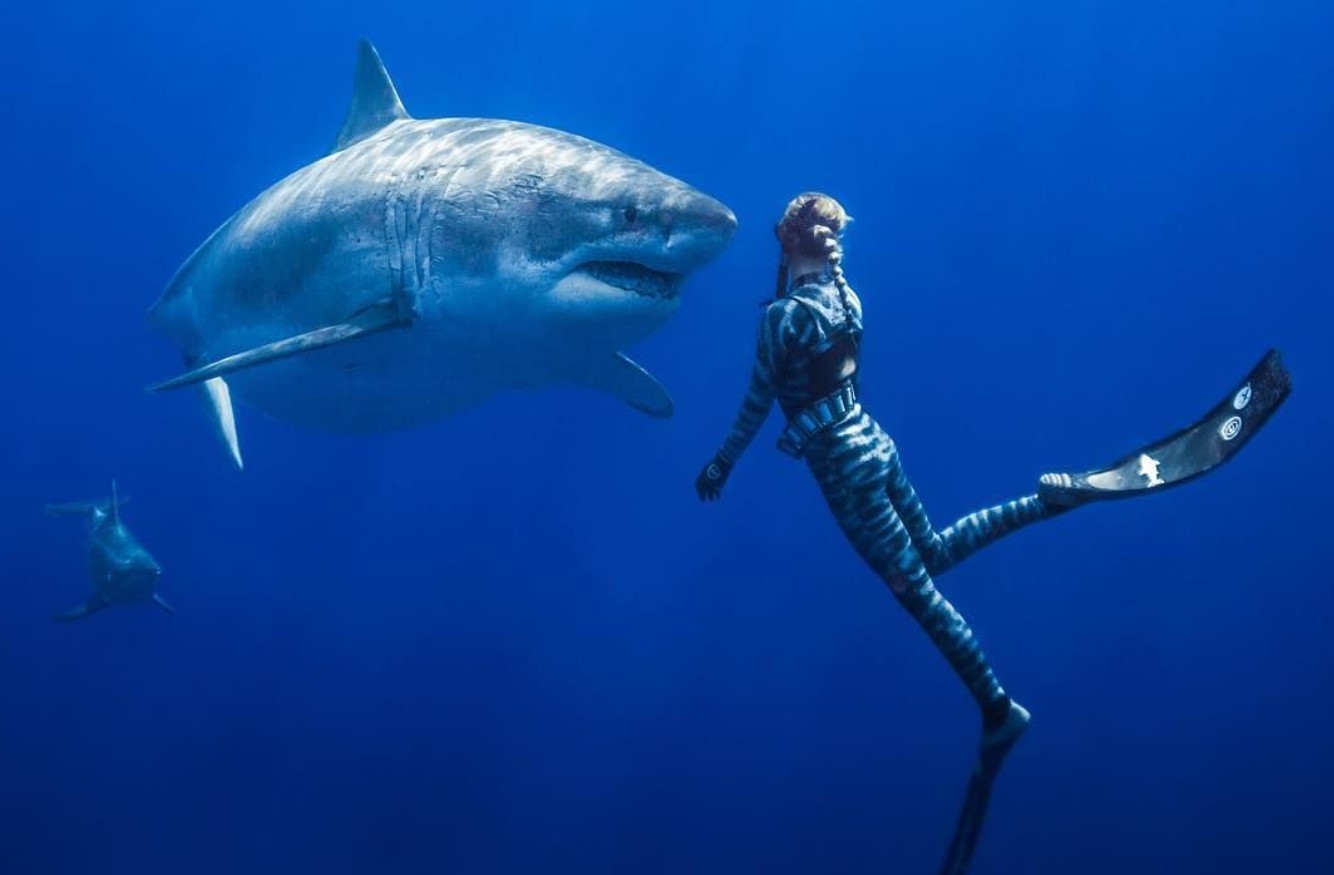 Ocean Ramsey husker sin ud-af-kroppen-oplevelse, da hun stod ansigt til ansigt med en haj under vandet