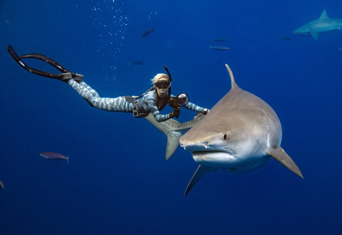 Ocean Ramsey husker sin ud-af-kroppen-oplevelse, da hun stod ansigt til ansigt med en haj under vandet