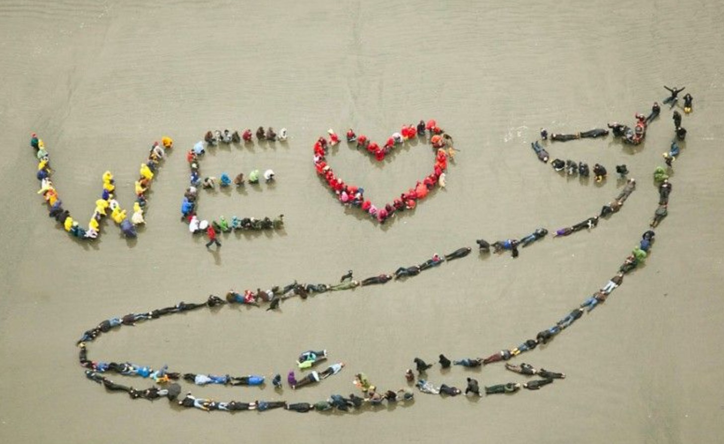 Pacific Rim Whale Festival