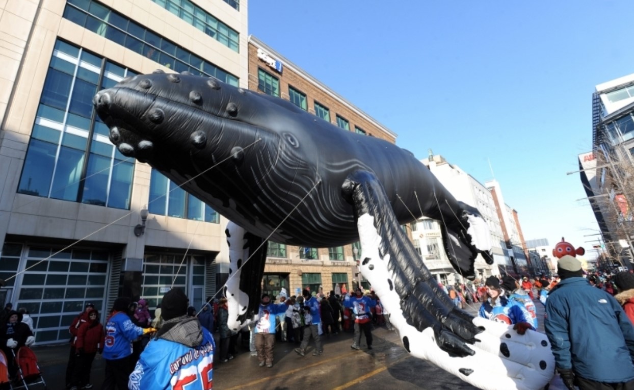 Pacific Rim Whale Festival