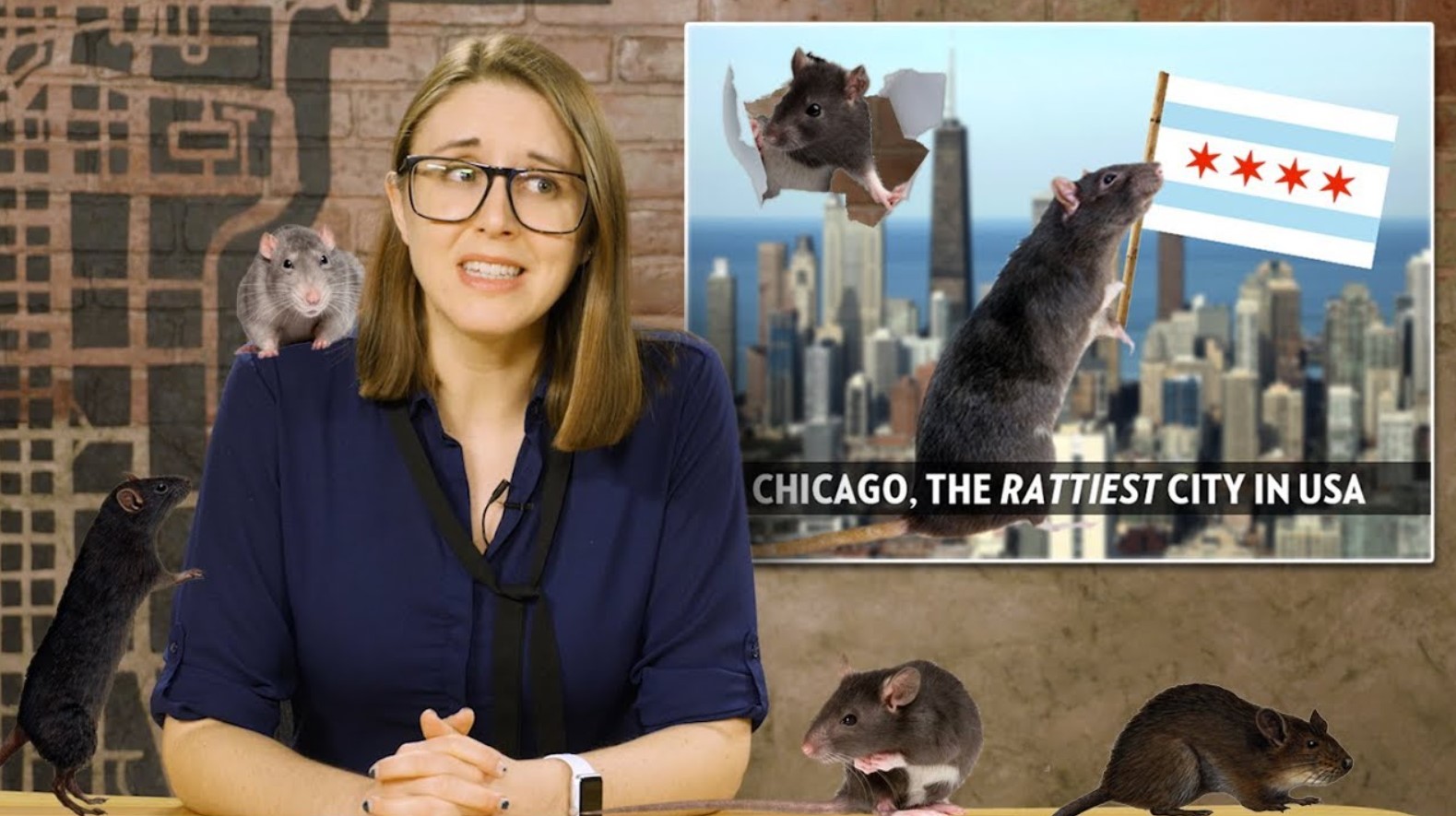 Gnaverne i Chicago udvikler sig i realtid, siger forskere