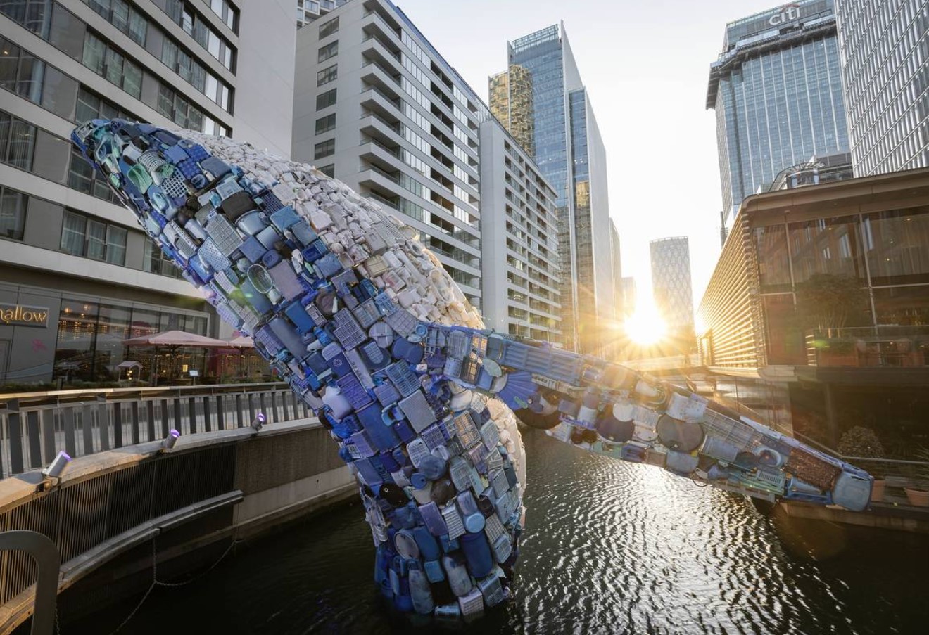 Whale on the Wharf