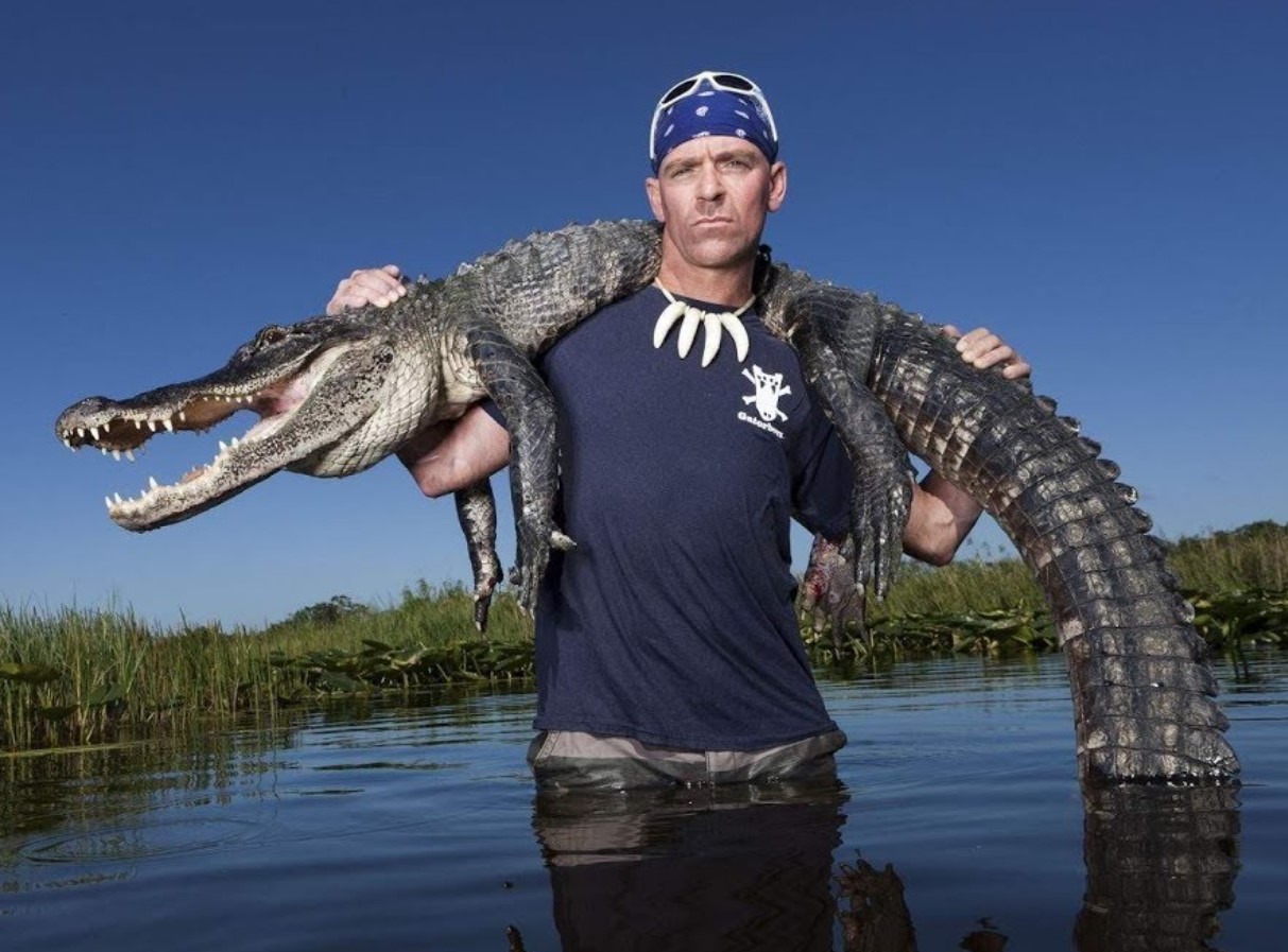 På hver gade er der en tandet nabo: hvorfor er ingen i Florida bange for alligatorer