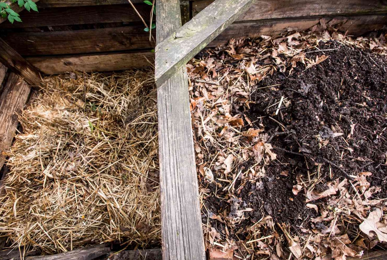 Hvordan komposterer man om sommeren? Undgå lugt og øget forekomst af insekter. Det er godt for haven og for dig