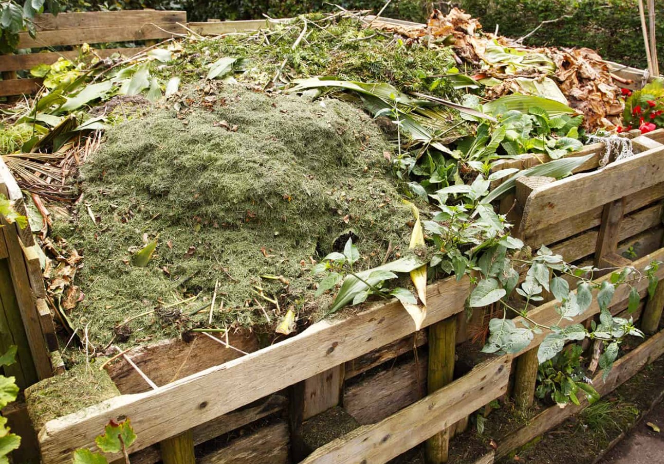 Hvordan komposterer man om sommeren? Undgå lugt og øget forekomst af insekter. Det er godt for haven og for dig