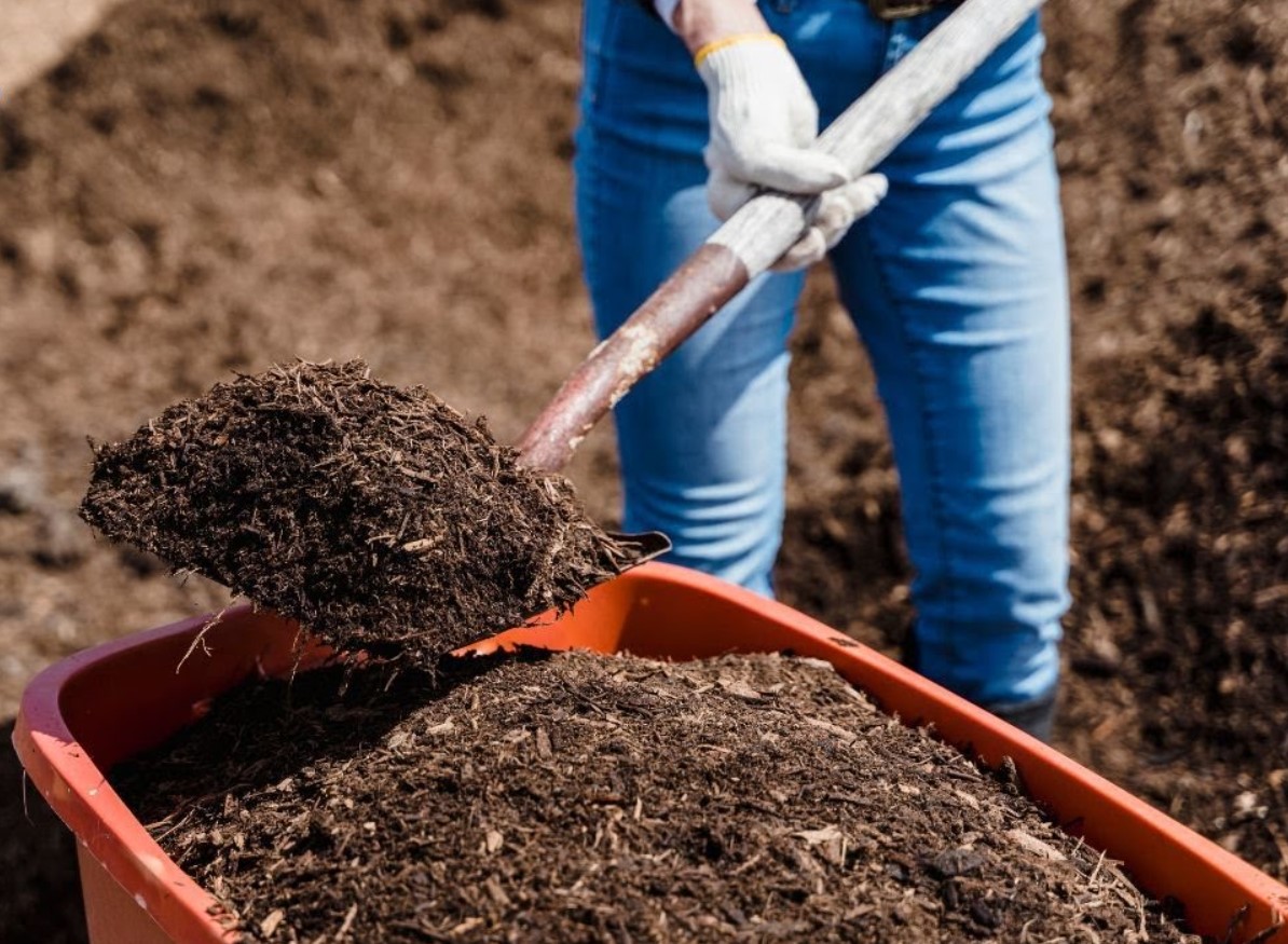 Hvordan komposterer man om sommeren? Undgå lugt og øget forekomst af insekter. Det er godt for haven og for dig