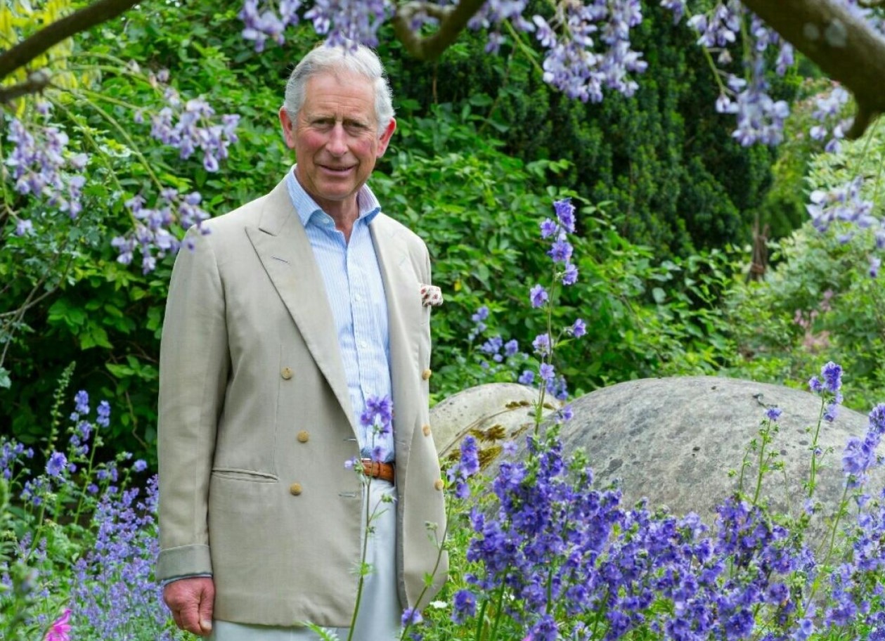 Den mest populære blomst i Storbritannien: hvordan man passer på kong Charles' yndlingsplante
