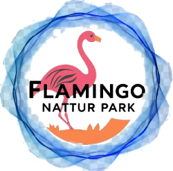 Flamingo naturpark