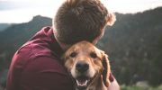 Hvorfor vifter hunde med halen: dyrlæge forklarer dyrenes skjulte adfærd