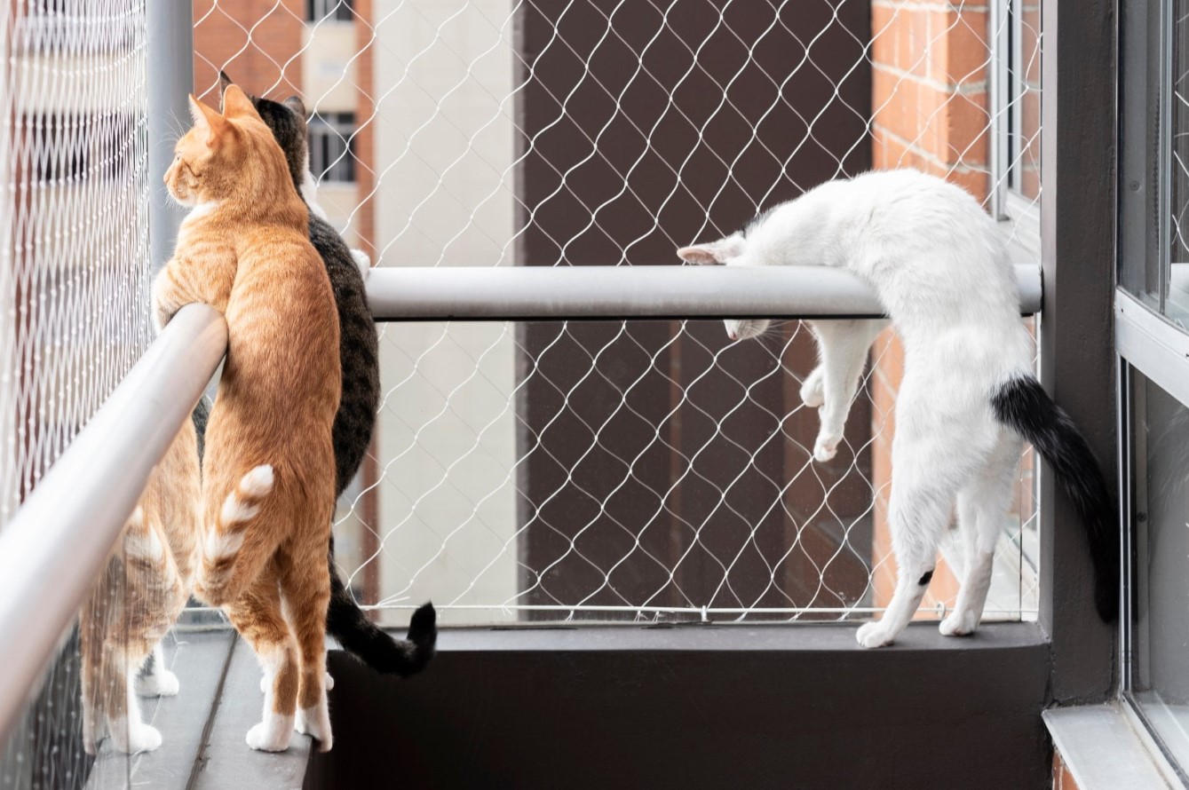 En altan kan være en stor berigelse for katte – forudsat at altanen er katte-sikker