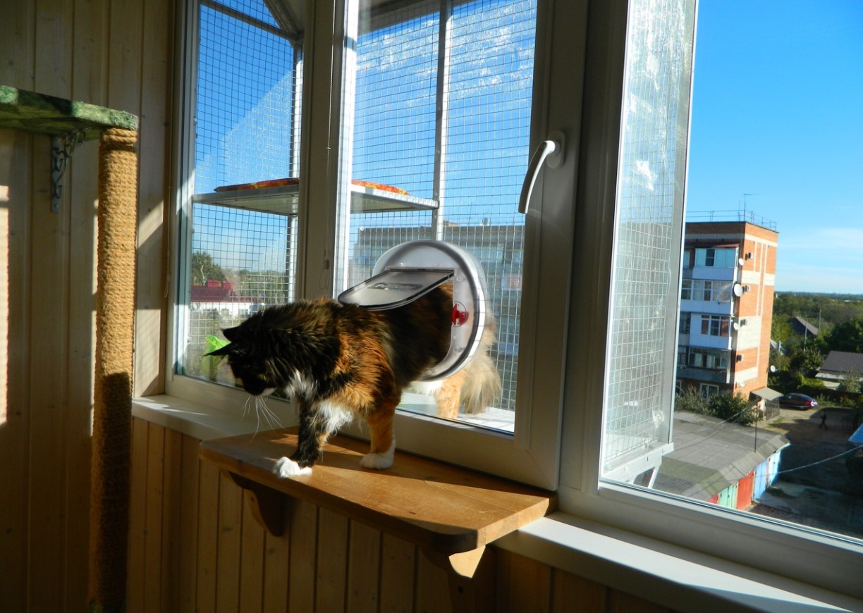 En altan kan være en stor berigelse for katte – forudsat at altanen er katte-sikker