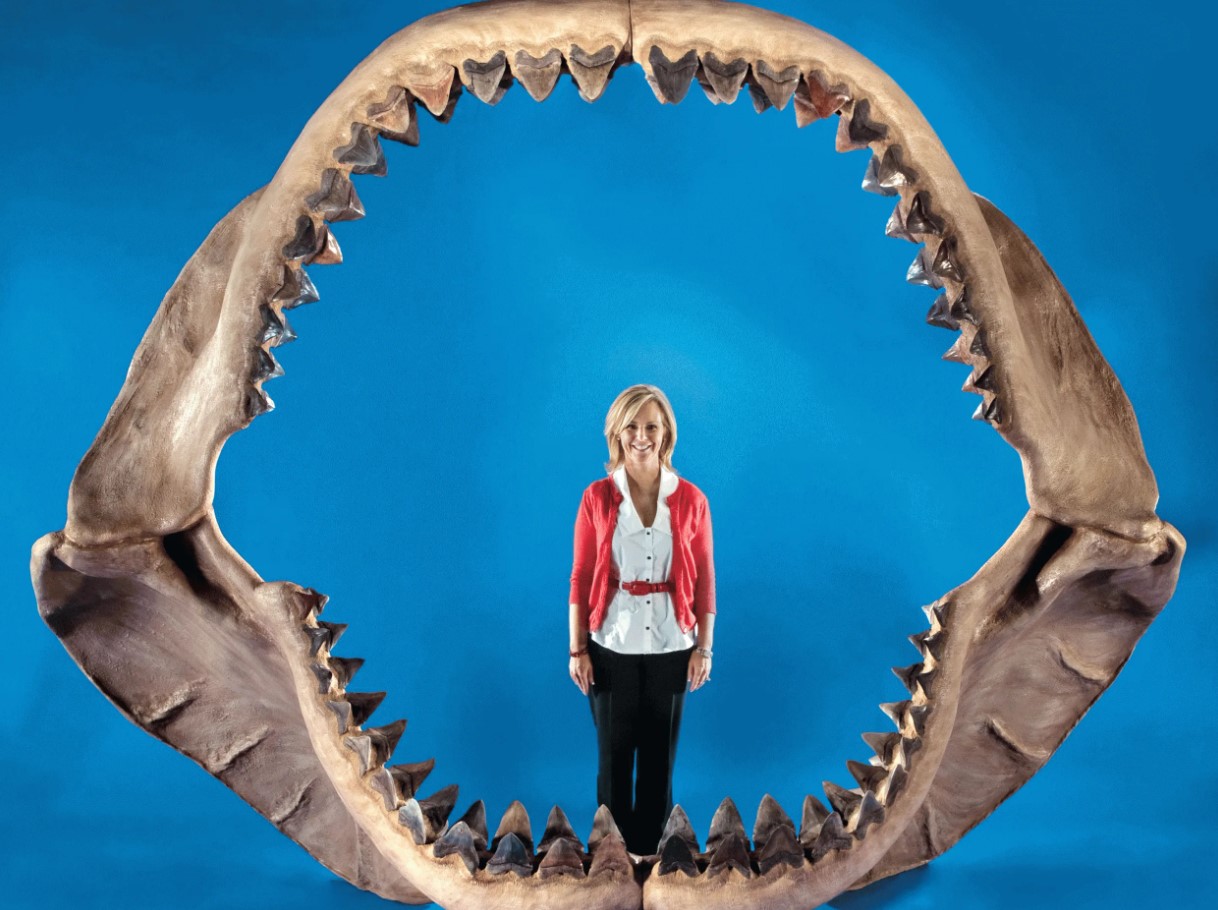 Hvad megalodon virkelig spiste for at dække sit daglige behov på 100.000 kalorier, ifølge en ny undersøgelse
