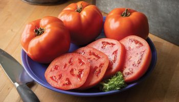 8 tomatsorter, som hverken hede eller frost kan gøre noget: du vil glemme alt om dårlige år