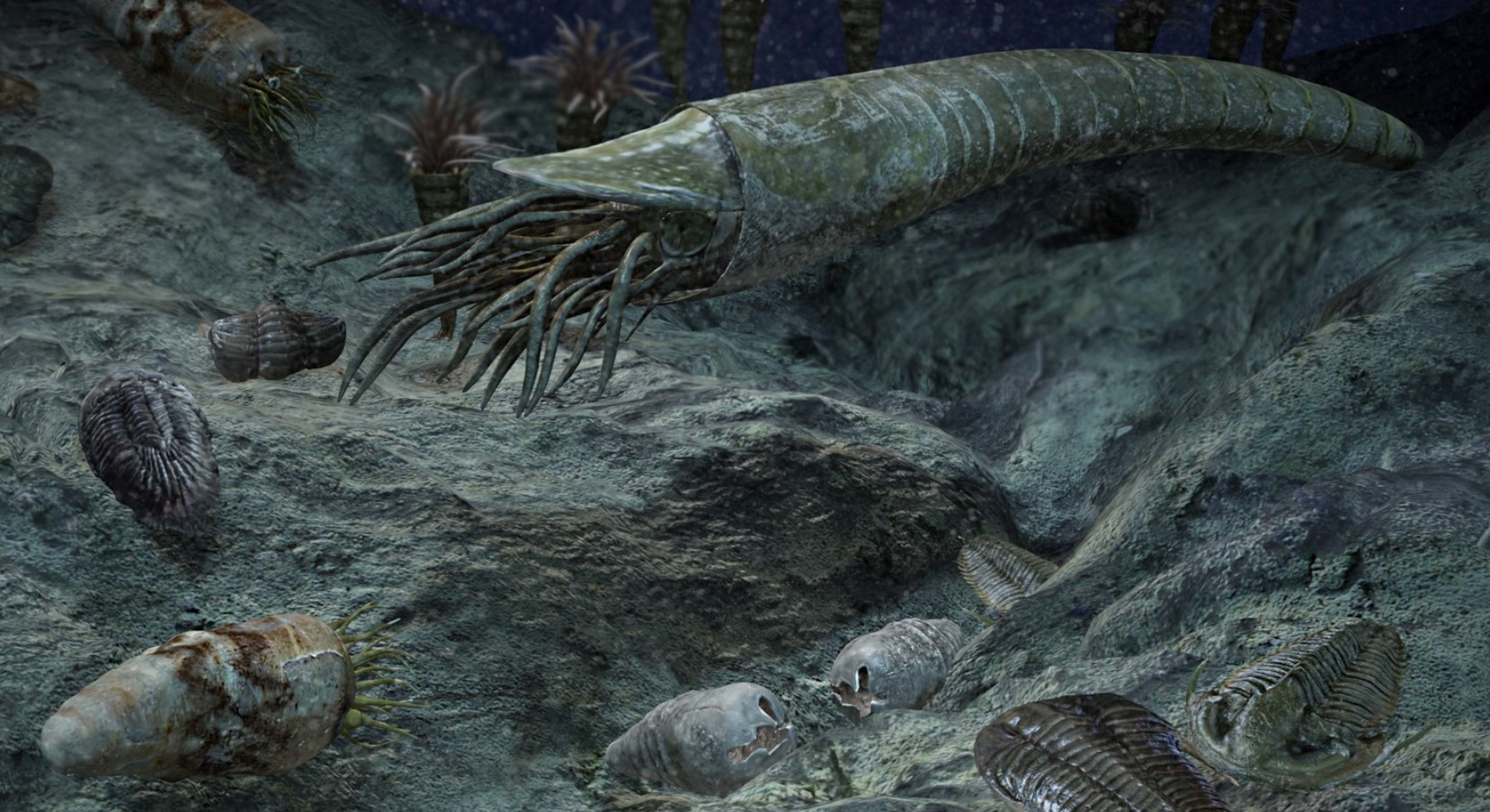 Ordovicium-udryddelse (for ca. 445 millioner år siden)