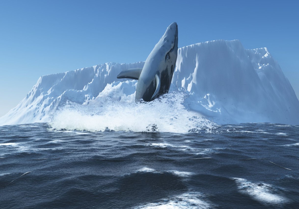 Fantastisk syn: polarforskere viser, hvordan en hval springer op af vandet (foto)
