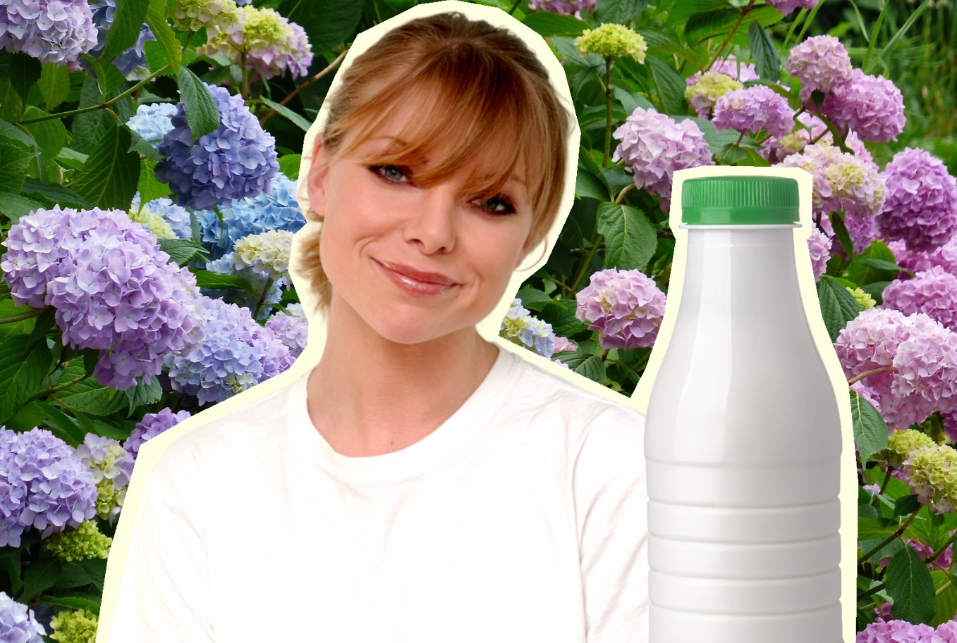 Hortensia elsker at spise: hvordan gøder man en kræsen blomst?