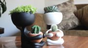 Kedsommelige plastikpotter er ikke længere på mode: 5 uventede ideer til dine planter
