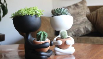 Kedsommelige plastikpotter er ikke længere på mode: 5 uventede ideer til dine planter
