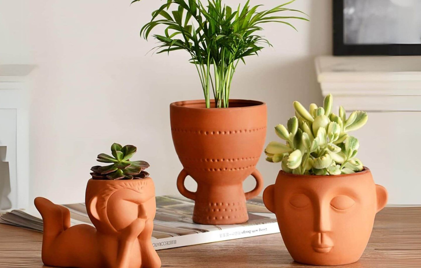 Kedsommelige plastikpotter er ikke længere på mode: 5 uventede ideer til dine planter