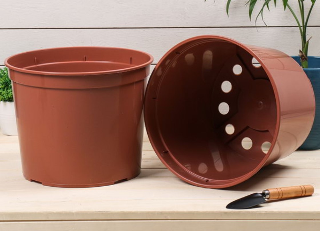 Smid ikke gamle plastikblomsterpotter ud – gartner afslører smart trick