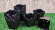 Smid ikke gamle plastikblomsterpotter ud – gartner afslører smart trick