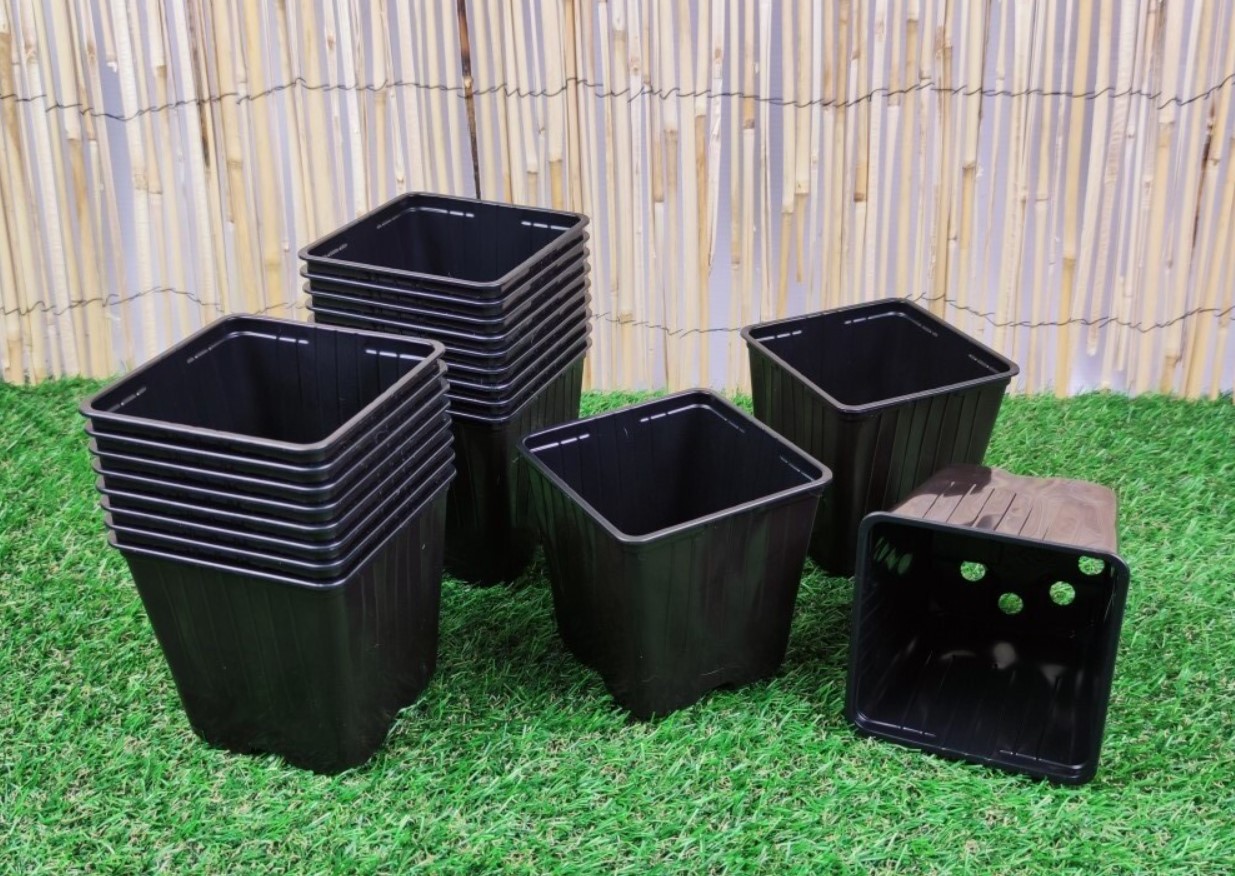Smid ikke gamle plastikblomsterpotter ud – gartner afslører smart trick