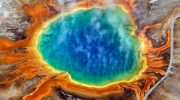 Øjenvidner i chok: varm fælde i Yellowstone – ingen havde forventet dette