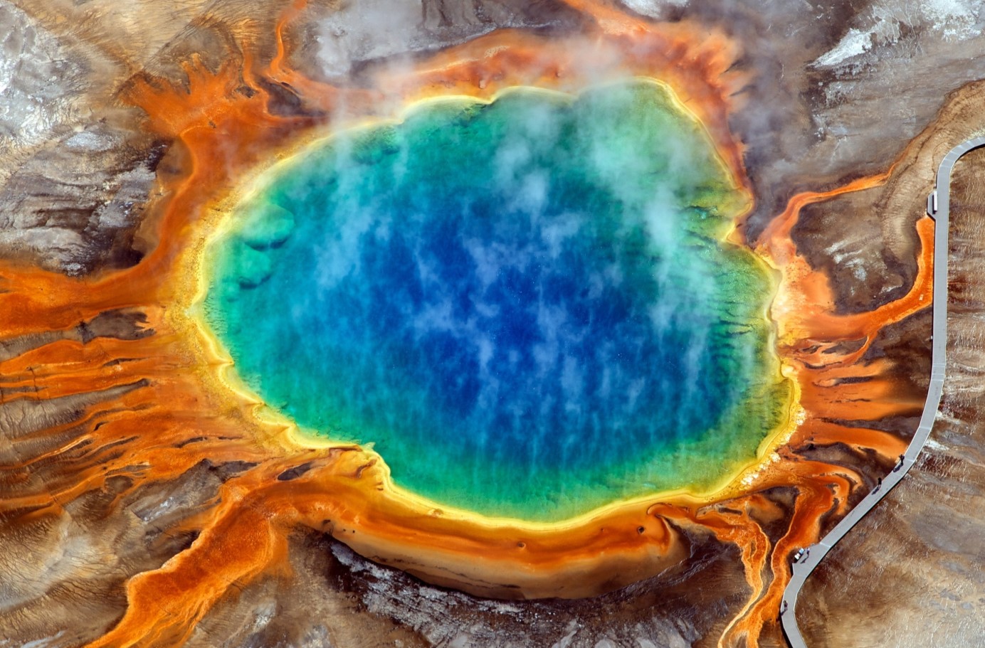 Øjenvidner i chok: varm fælde i Yellowstone – ingen havde forventet dette