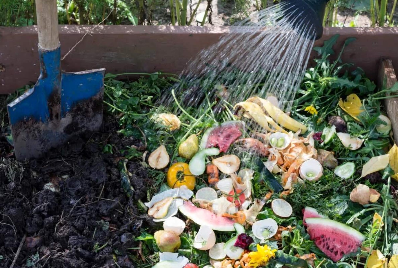 Den ene ting, som gartnere glemmer at vande i varmt vejr, som er afgørende for planters sundhed