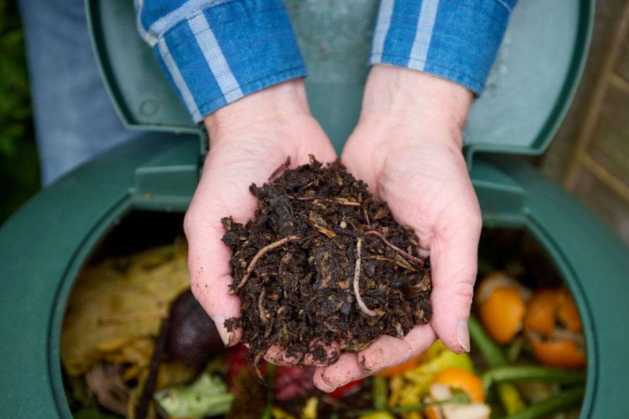 Den ene ting, som gartnere glemmer at vande i varmt vejr, som er afgørende for planters sundhed