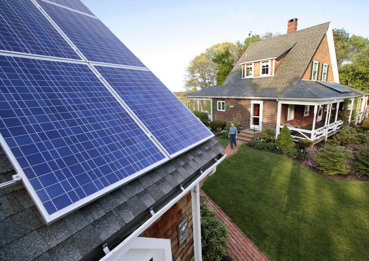 Vokser grøntsager bedre under solceller? Et overraskende fund fra amerikanske forskere