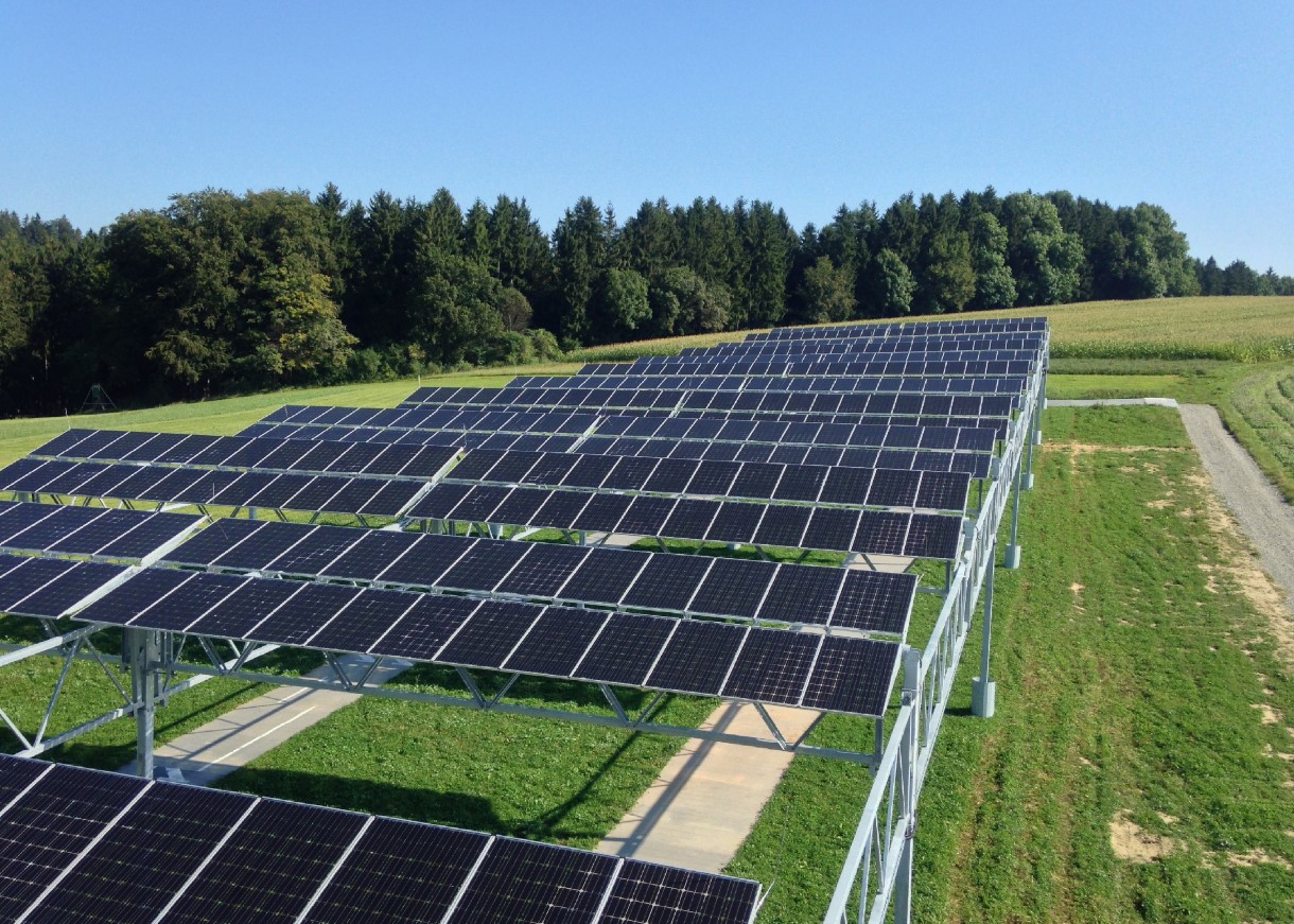 Vokser grøntsager bedre under solceller? Et overraskende fund fra amerikanske forskere