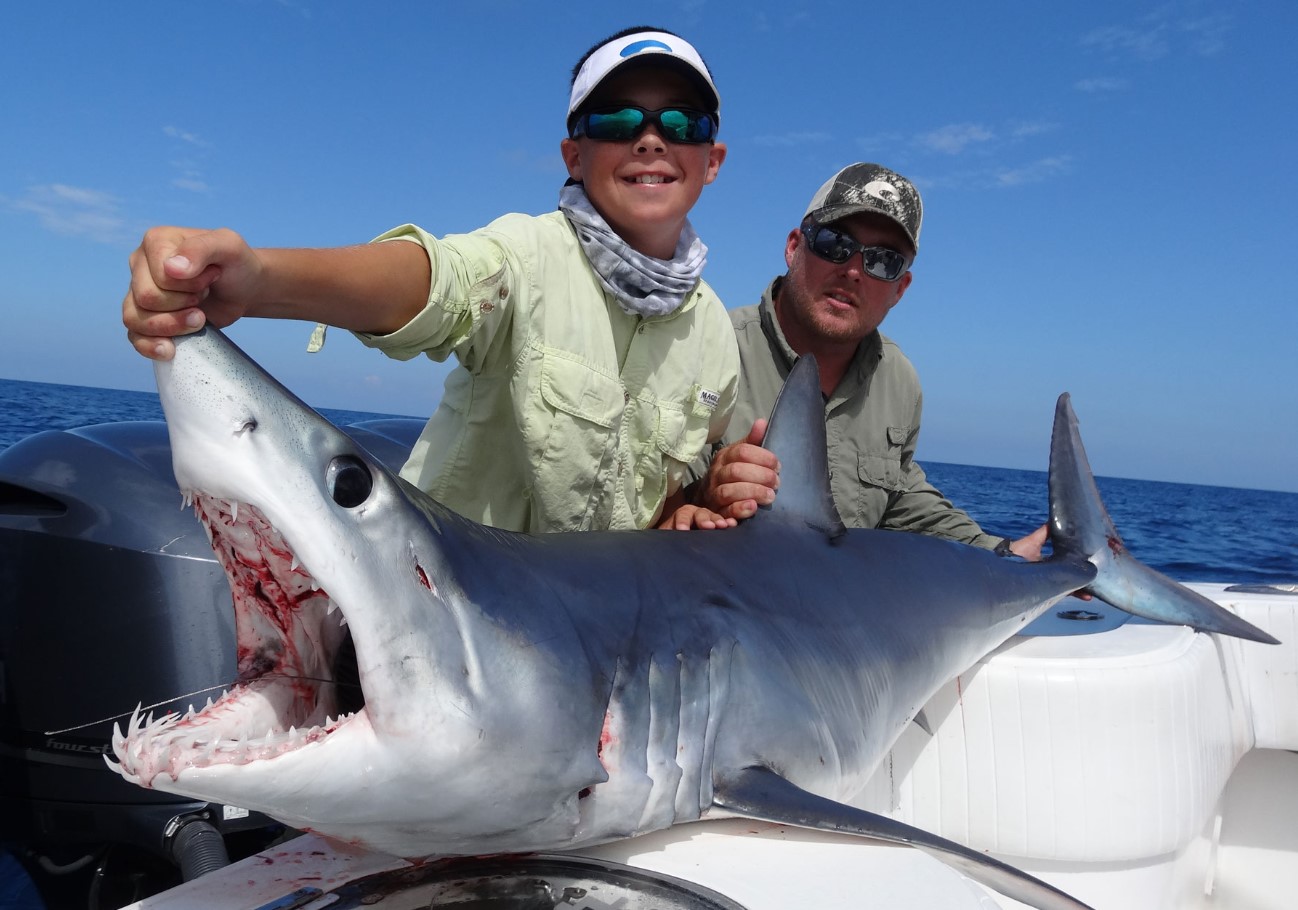 Shark Week-teamet opdager usædvanlige 'sorte makohajer' ud for Californiens kyst