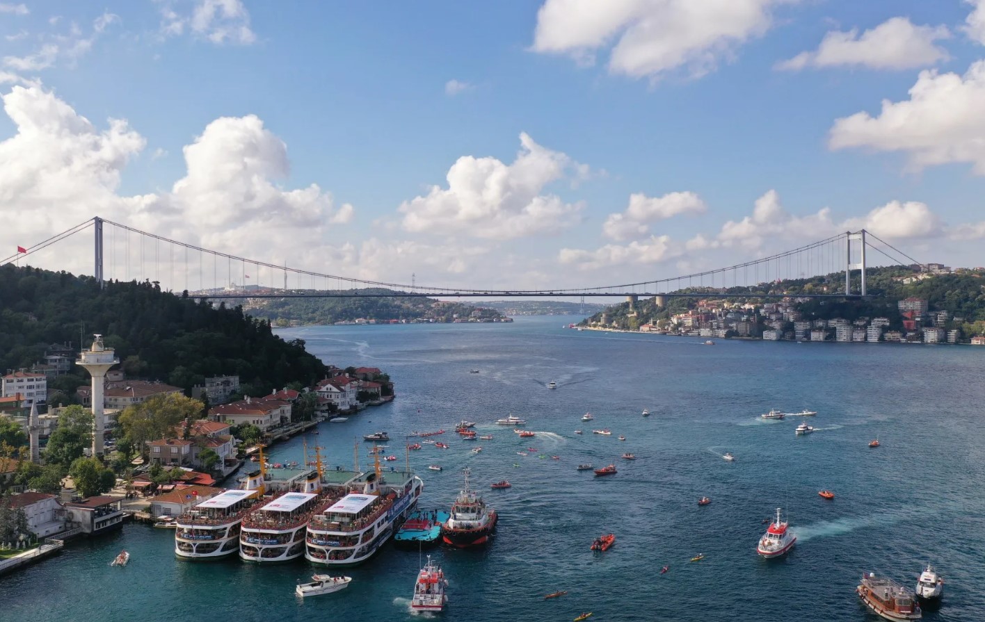 Hajer vender om ved Bosporus: hvad er så slemt i Sortehavet, at selv rovdyr vakler?