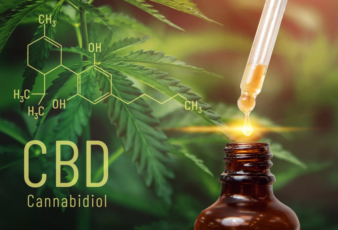 En komponent i cannabis skadede leveren i kliniske forsøg