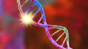 Luftforurening 'stærkt forbundet' med DNA-mutationer knyttet til lungekræft