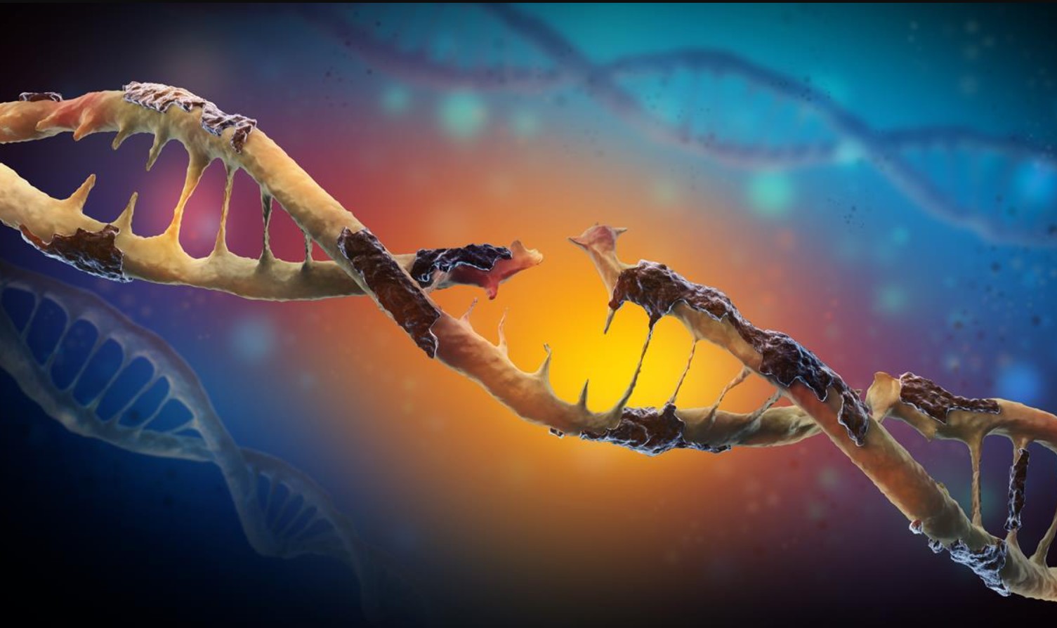 Luftforurening 'stærkt forbundet' med DNA-mutationer knyttet til lungekræft