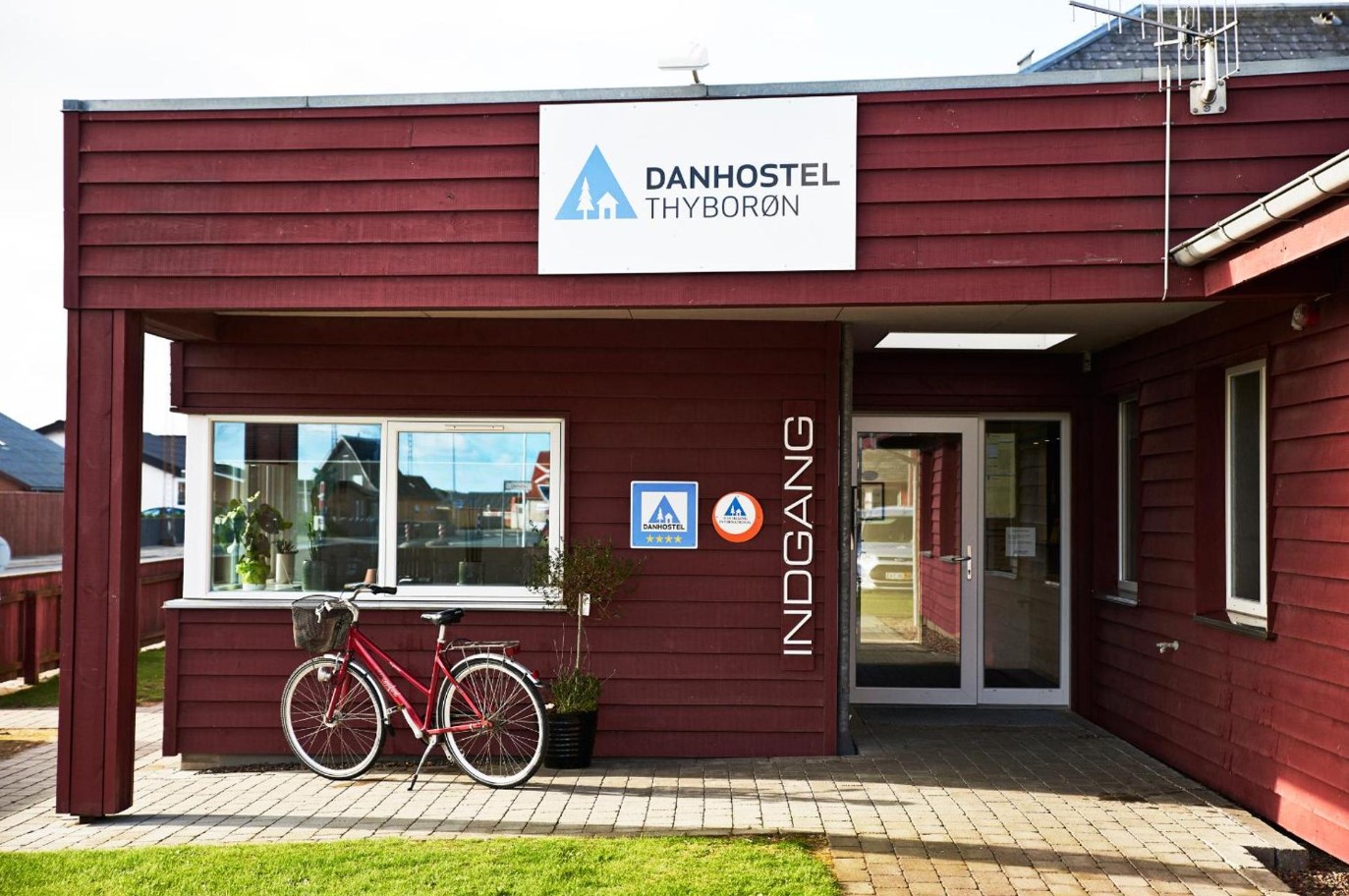 Delfinerne i Thyborøn har det fantastisk: 'De krammer, gnubber sig, hopper og leger sammen'
